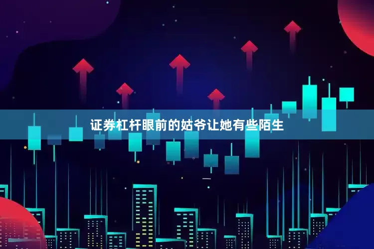 证券杠杆眼前的姑爷让她有些陌生
