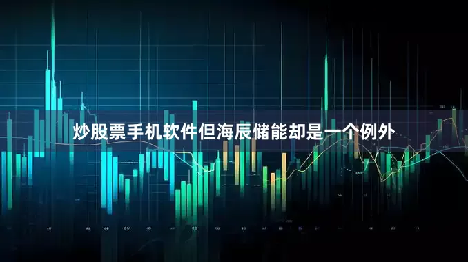 炒股票手机软件但海辰储能却是一个例外