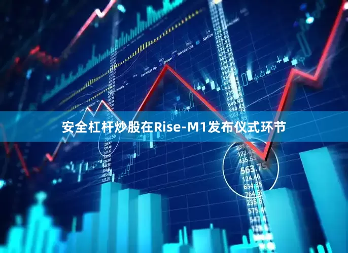安全杠杆炒股在Rise-M1发布仪式环节