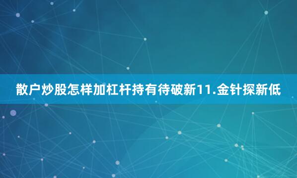 散户炒股怎样加杠杆持有待破新11.金针探新低